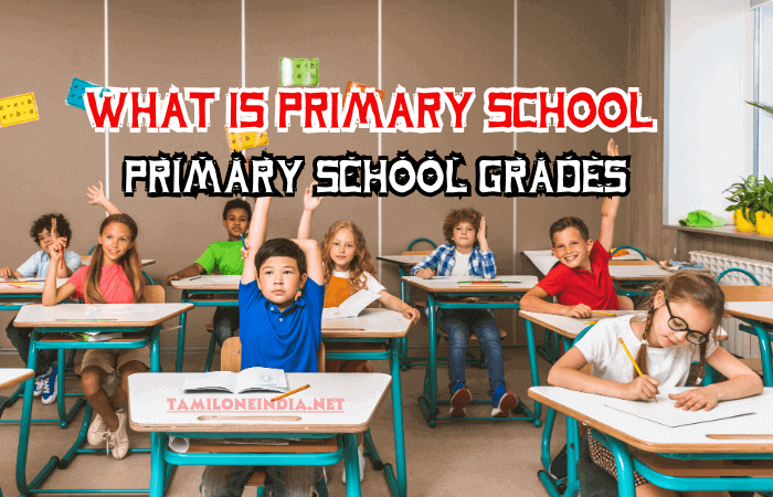 What Is Primary School And Primary School Grades