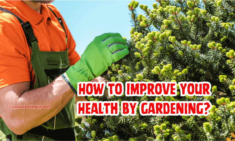 How to Improve Your Health by Gardening?